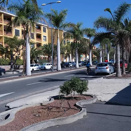 Tenerife,happy Apartments,el Mocan,palm Mar Apartamento